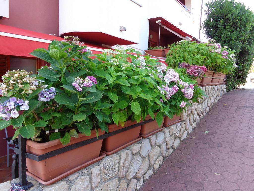 Apartament Adrijan Krk *
