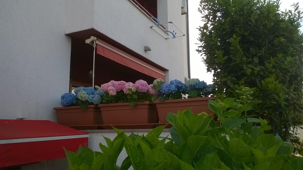 Adrijan Krk Apartment *